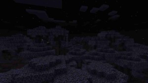 Minecraft 1.21.50.26 4