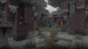 Minecraft 1.21.50.26 3