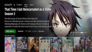 Animes Brasil 2