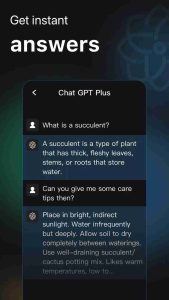 ChatGPT Plus 1