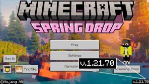 Minecraft 1.21.70 1