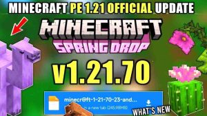 Minecraft 1.21.70 2