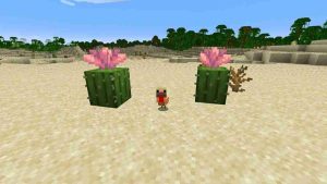 Minecraft 1.21.70 3