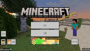Minecraft 1.21.81.2 2